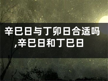 辛巳日与丁卯日合适吗,辛巳日和丁巳日