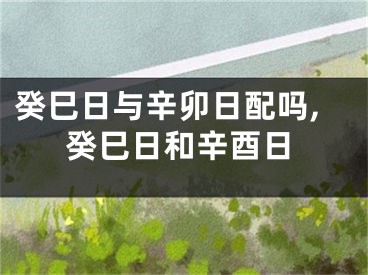 癸巳日与辛卯日配吗,癸巳日和辛酉日