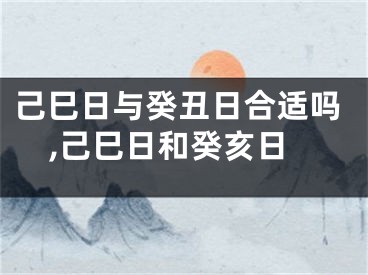 己巳日与癸丑日合适吗,己巳日和癸亥日