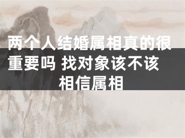 两个人结婚属相真的很重要吗 找对象该不该相信属相