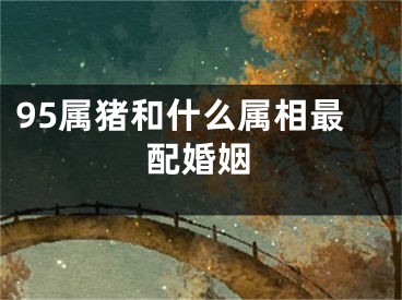 95属猪和什么属相最配婚姻