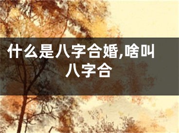 什么是八字合婚,啥叫八字合