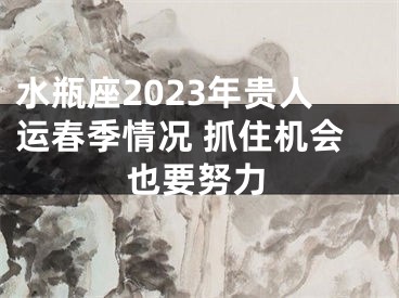 水瓶座2023年贵人运春季情况 抓住机会也要努力