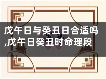 戊午日与癸丑日合适吗,戊午日癸丑时命理段