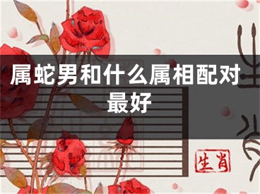 属蛇男和什么属相配对最好