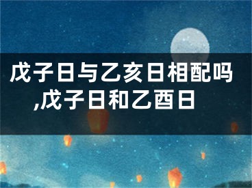 戊子日与乙亥日相配吗,戊子日和乙酉日