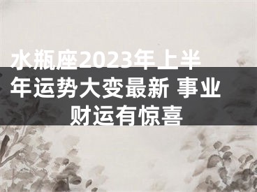 水瓶座2023年上半年运势大变最新 事业财运有惊喜