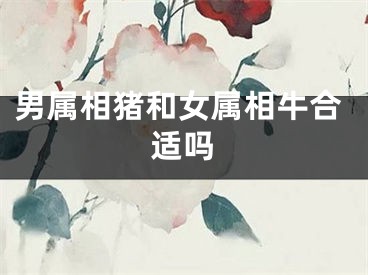 男属相猪和女属相牛合适吗