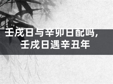 壬戌日与辛卯日配吗,壬戌日遇辛丑年