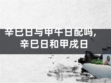辛巳日与甲午日配吗,辛巳日和甲戌日
