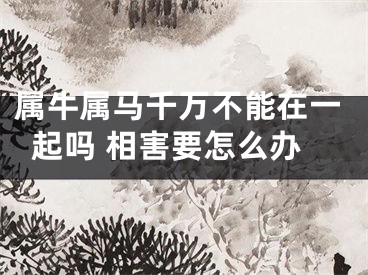 属牛属马千万不能在一起吗 相害要怎么办