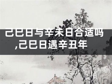己巳日与辛未日合适吗,己巳日遇辛丑年