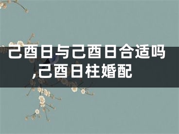 己酉日与己酉日合适吗,己酉日柱婚配