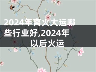 2024年离火大运哪些行业好,2024年以后火运