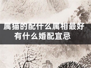 属猫的配什么属相最好 有什么婚配宜忌