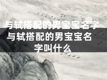 与轼搭配的男宝宝名字 与轼搭配的男宝宝名字叫什么