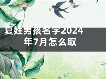 夏姓男孩名字2024年7月怎么取