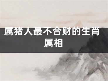 属猪人最不合财的生肖属相