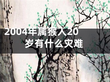 2004年属猴人20岁有什么灾难
