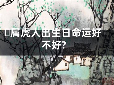 ​属虎人出生日命运好不好?