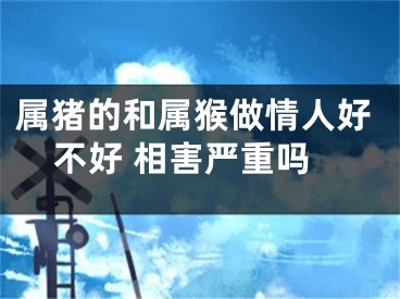 属猪的和属猴做情人好不好 相害严重吗