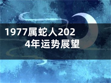 1977属蛇人2024年运势展望