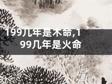 199几年是木命,199几年是火命