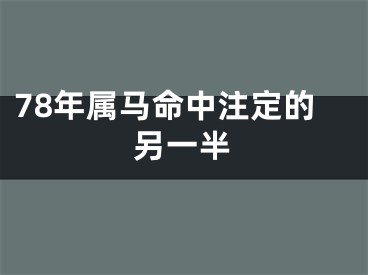 78年属马命中注定的另一半