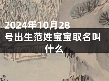 2024年10月28号出生范姓宝宝取名叫什么