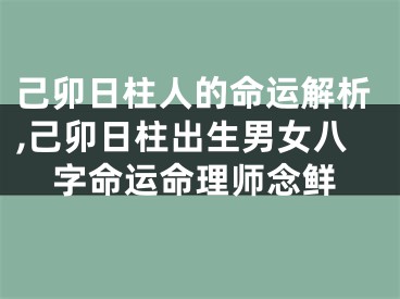 己卯日柱人的命运解析,己卯日柱出生男女八字命运命理师念鲜