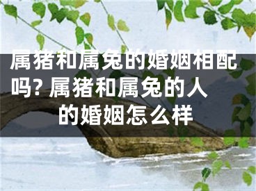 属猪和属兔的婚姻相配吗? 属猪和属兔的人的婚姻怎么样