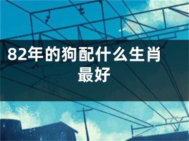 82年的狗配什么生肖最好