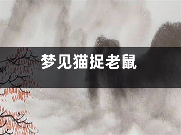 梦见猫捉老鼠