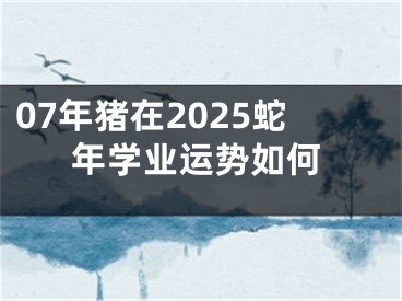 07年猪在2025蛇年学业运势如何