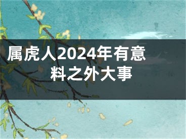 属虎人2024年有意料之外大事