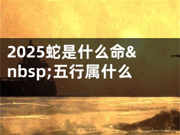 2025蛇是什么命&nbsp;五行属什么