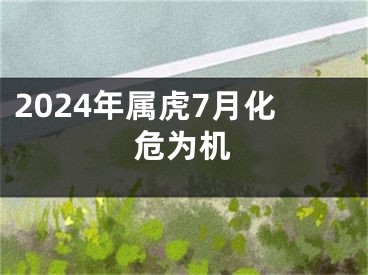 2024年属虎7月化危为机