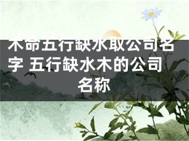 木命五行缺水取公司名字 五行缺水木的公司名称