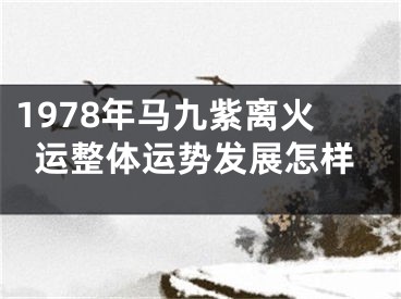 1978年马九紫离火运整体运势发展怎样