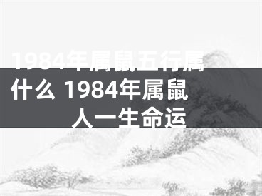 1984年属鼠五行属什么 1984年属鼠人一生命运