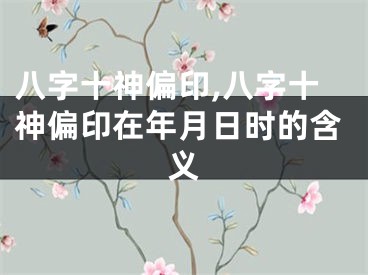 八字十神偏印,八字十神偏印在年月日时的含义