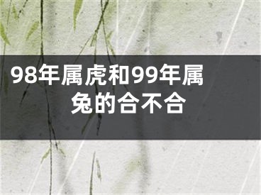 98年属虎和99年属兔的合不合