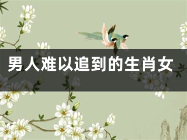 男人难以追到的生肖女