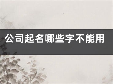 公司起名哪些字不能用