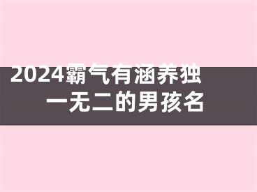 2024霸气有涵养独一无二的男孩名