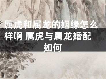 属虎和属龙的姻缘怎么样啊 属虎与属龙婚配如何