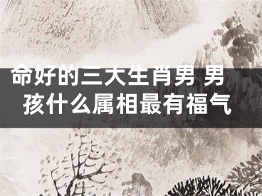 命好的三大生肖男 男孩什么属相最有福气