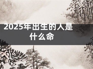 2025年出生的人是什么命 