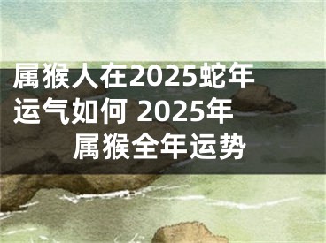 属猴人在2025蛇年运气如何 2025年属猴全年运势
