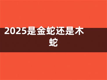 2025是金蛇还是木蛇